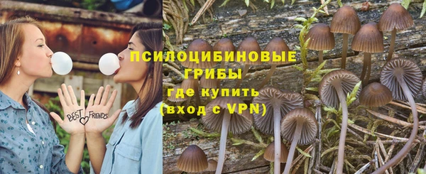 стаф Навашино