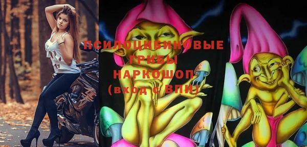 МДПВ Надым